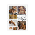 Cat Memorial Photo Blanket