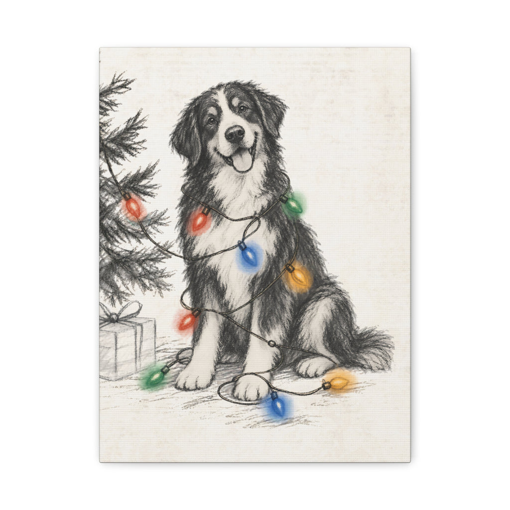 Berner Christmas Lights Canvas