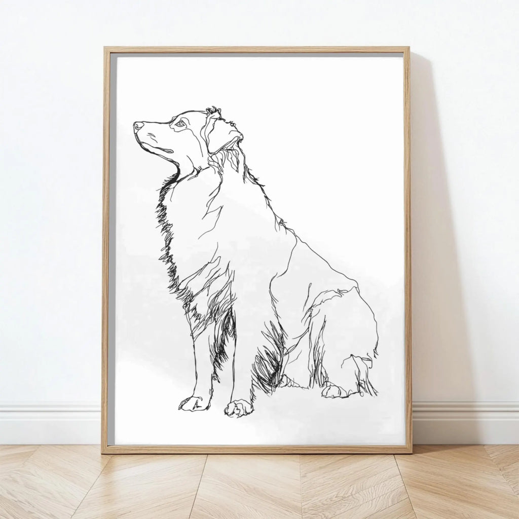 Australian Shepherd Line Art Print