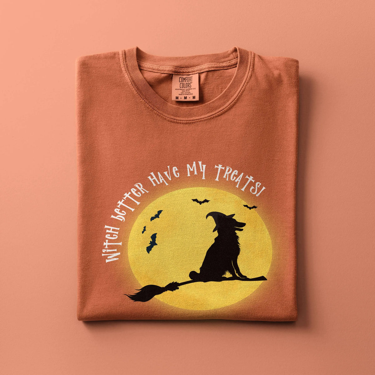 Border Collie Witch Halloween Shirt