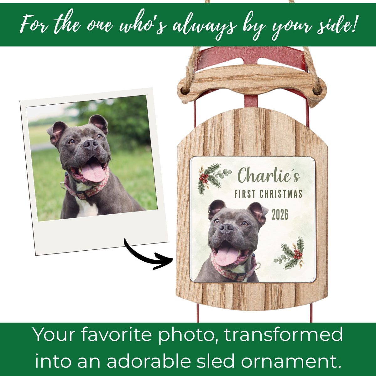 Pet First Christmas Ornament 2026