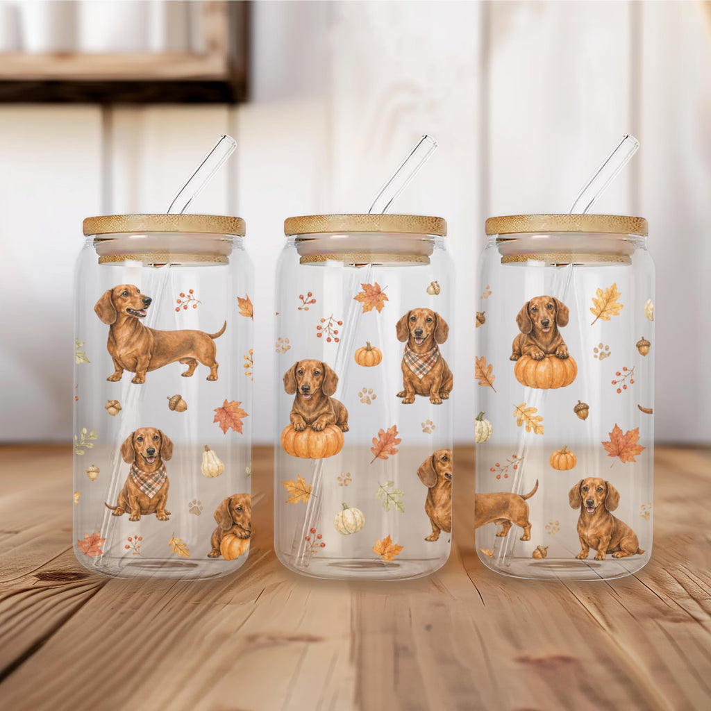 Dachshund Fall Glass Can Tumbler