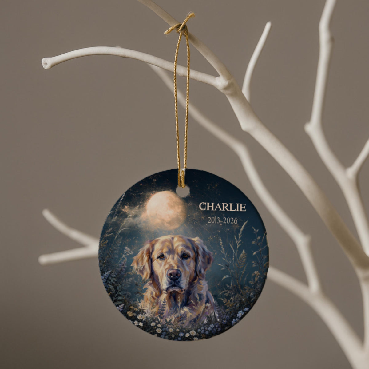 Celestial Custom Dog Cat Portrait from Photo