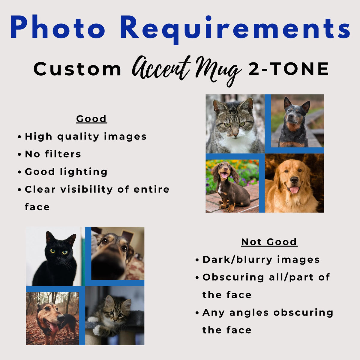 Custom Pet Fall Photo Mug