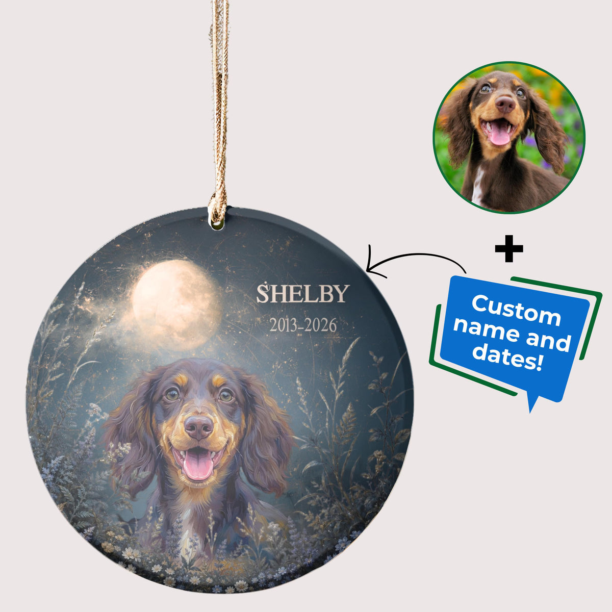 Celestial Custom Dog Cat Portrait from Photo