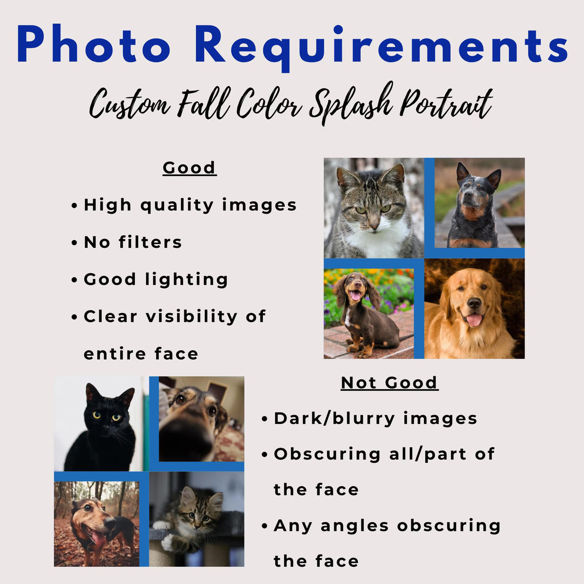 Custom Watercolor Pet Portrait with Name