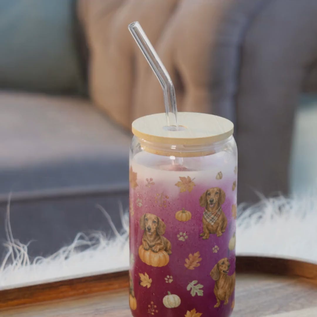 Dachshund Fall Glass Can Tumbler