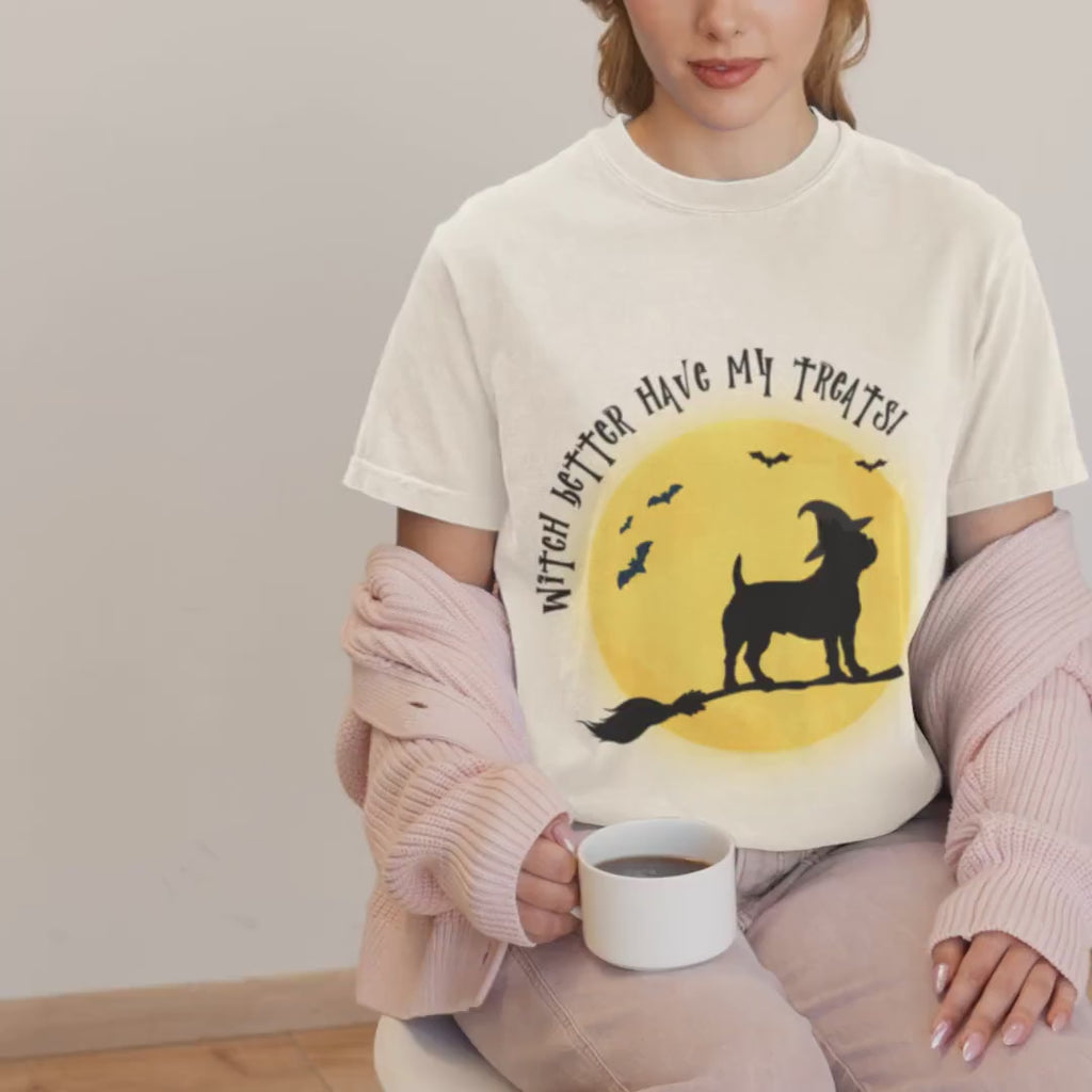 French Bulldog Witch Halloween Shirt