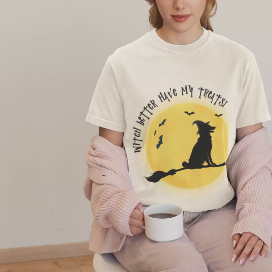 Border Collie Witch Halloween Shirt