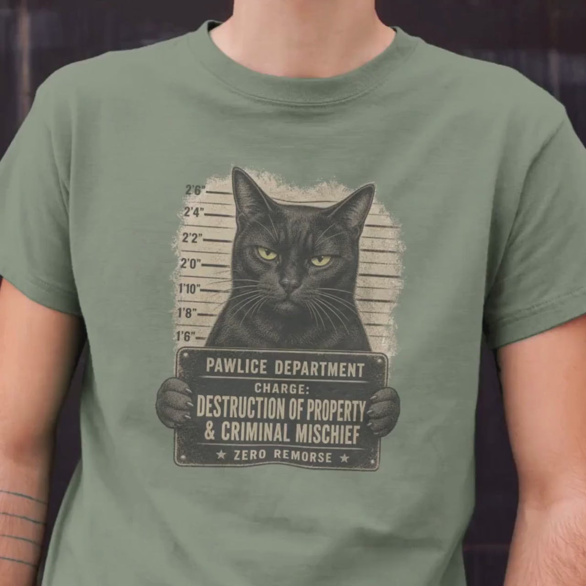 Funny Black Cat Mugshot Shirt